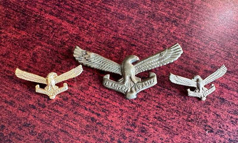 SAAF AIR FORCE GILDING METAL CAP AND COLLARS-WORN POST 1959-PINS ON CAP REPLACED