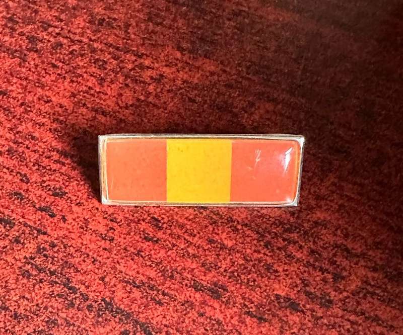 PERSONNEL SERVICE CORPS BERET BAR- 2 PINS
