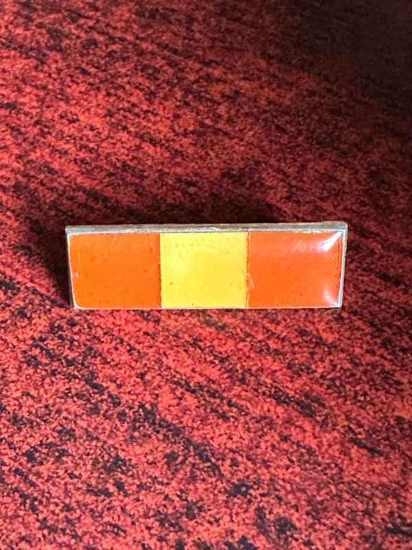 PERSONNEL SERVICE CORPS BERET BAR- 2 PINS