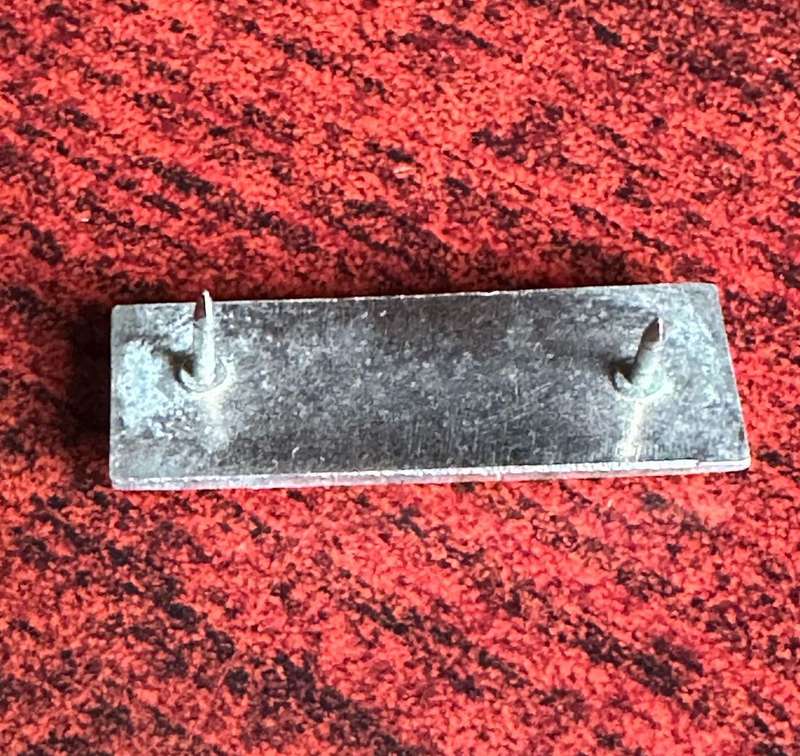PERSONNEL SERVICE CORPS BERET BAR- 2 PINS