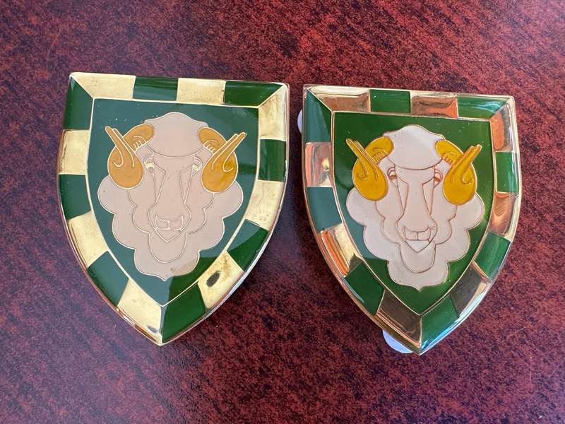 REGIMENT GROOT KAROO FLASH PAIR-ORIGINAL-PINS INTACT