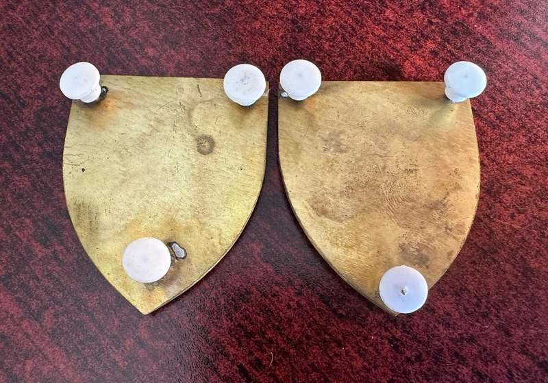 REGIMENT GROOT KAROO FLASH PAIR-ORIGINAL-PINS INTACT