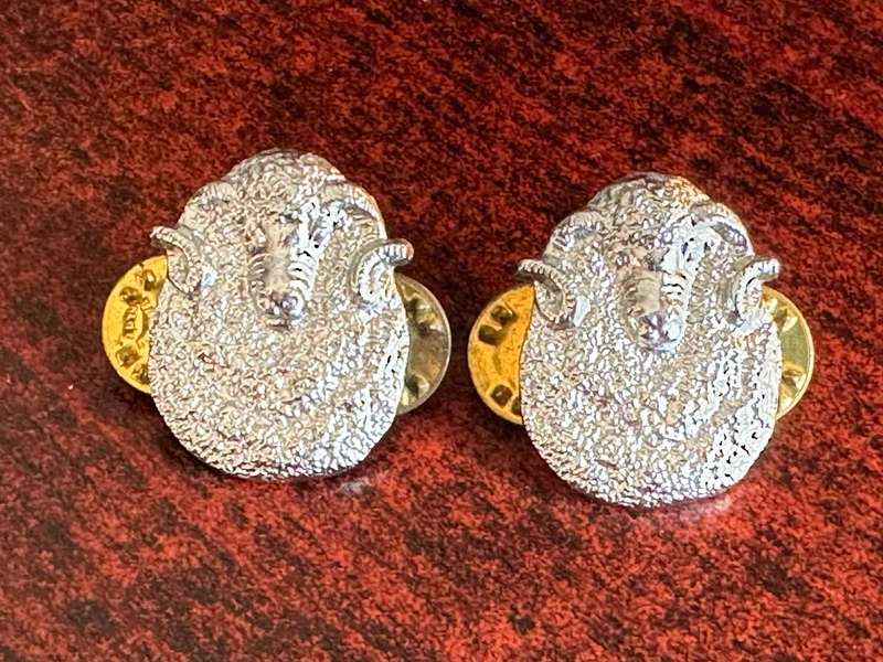 REGIMENT GROOT KAROO CHROMED COLLAR BADGE PAIR-WORN POST 1974-PINS INTACT