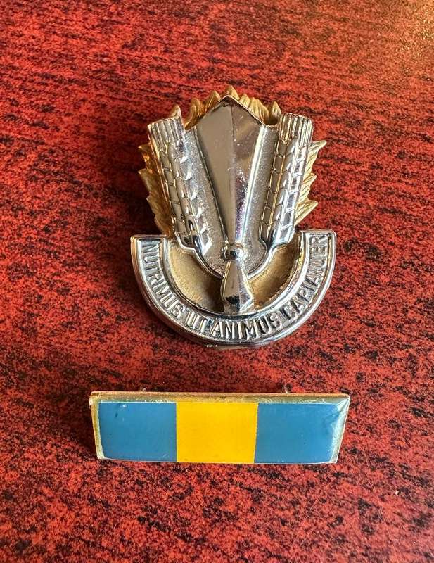 SA CATERING CORPS CAP AND BERET BAR-APPROVED 1978-LUGS + PINS INTACT