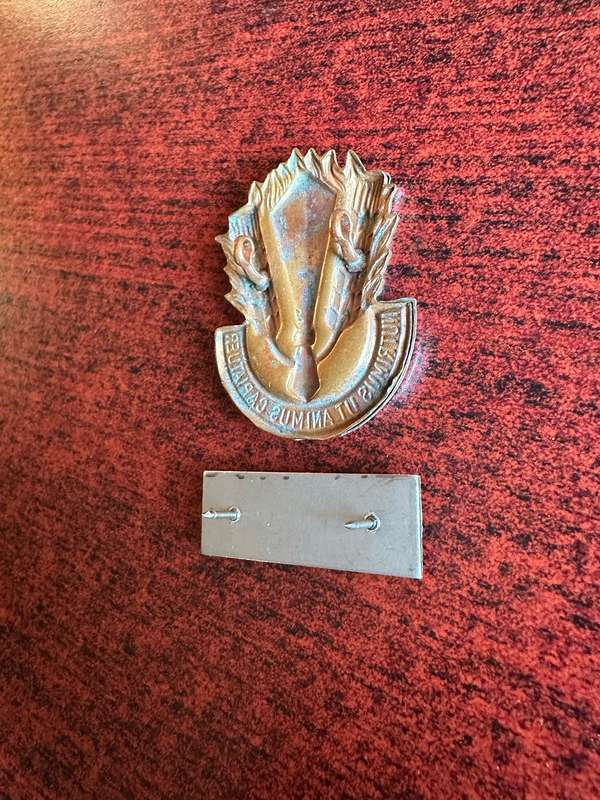 SA CATERING CORPS CAP AND BERET BAR-APPROVED 1978-LUGS + PINS INTACT