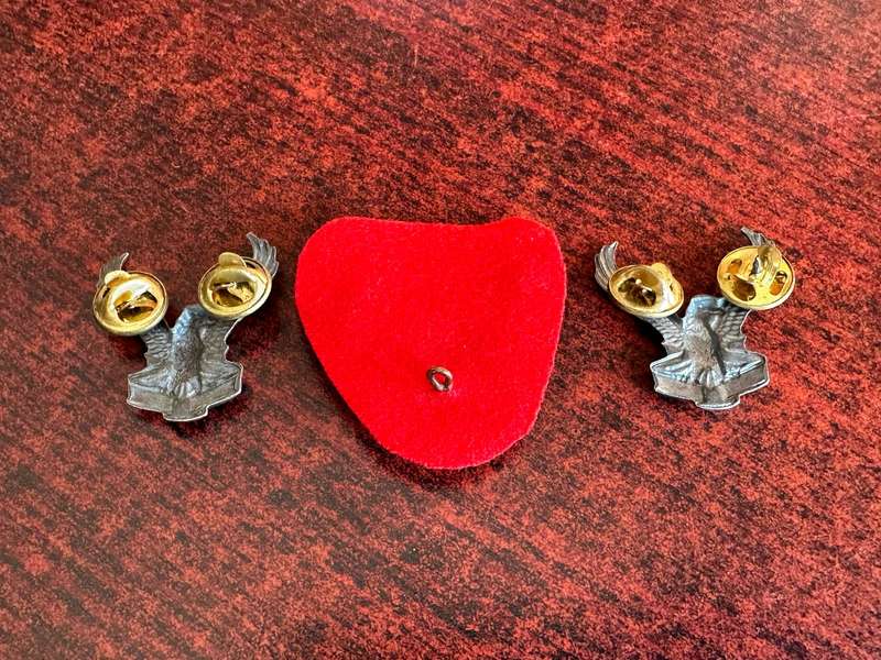 SWA AIR FORCE CAP AND COLLARS-PINS COMPETE-ONE LUG ON CAP MISSING