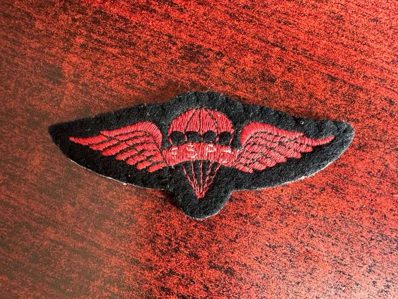 FSPC PARA WING