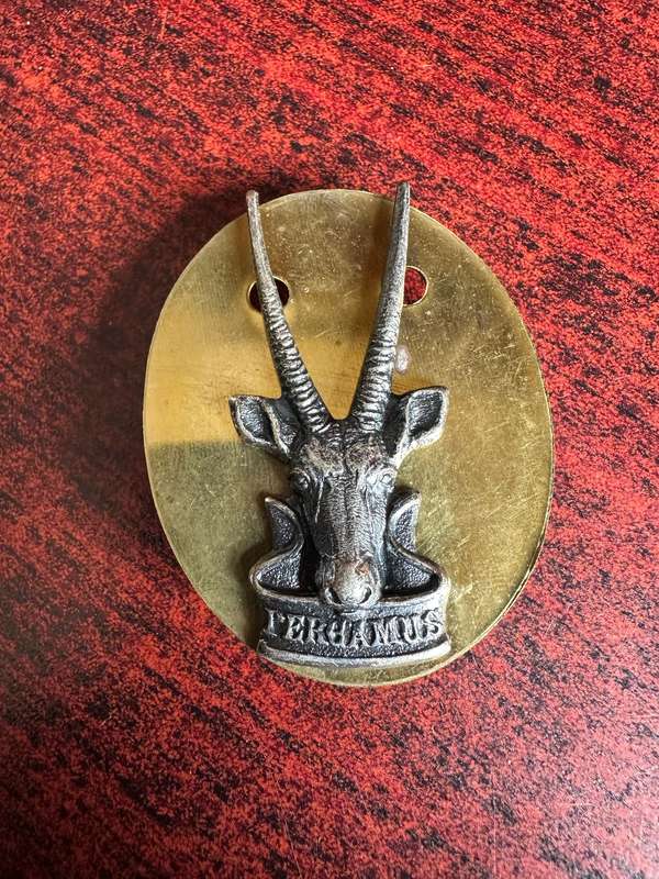 S.W.A.T.F. HEAD QUARTERS CAP BADGE-LARGE VARIATION-LUGS + PINS INTACT