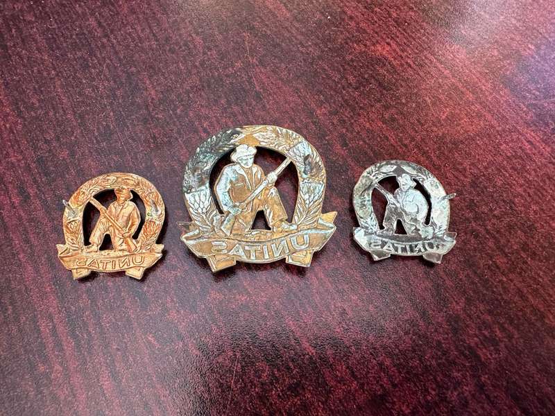 COMMANDOS BRASS CAP AND COLLARS-WORN 1963-1970'S-LUGS + PINS COMPLETE