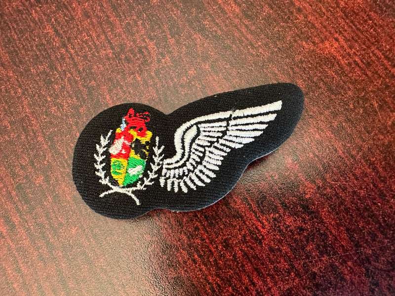 SAAF NAVIGATOR WING 1993-2003- 2 PINS