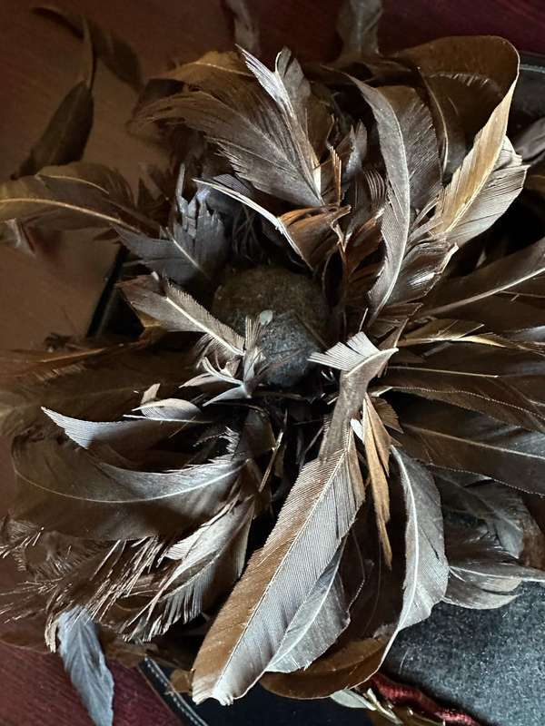ITALIAN ARMY INFANTRY BERGSAGLIESI HAT-HELMET WITH INSIGNIA ,FEATHERS AND CHIN STRAP-GOOD AND COMPLE