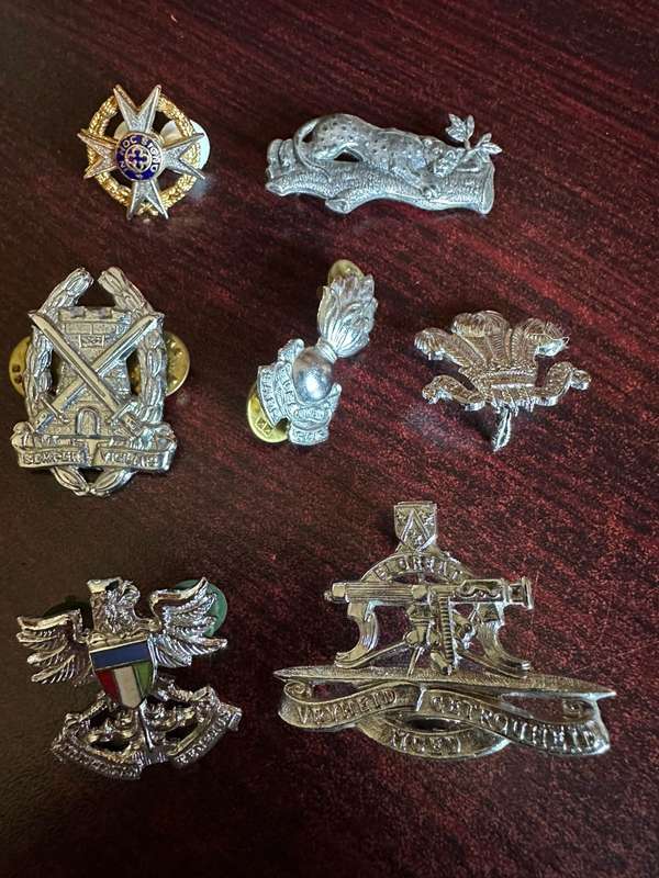 Selection of chrome collar badges. Sold together. All lugs + pins complete, except one. 7 In total