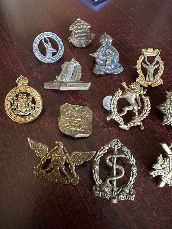Selection of 12 brass collars. Sold together. One missing pin.