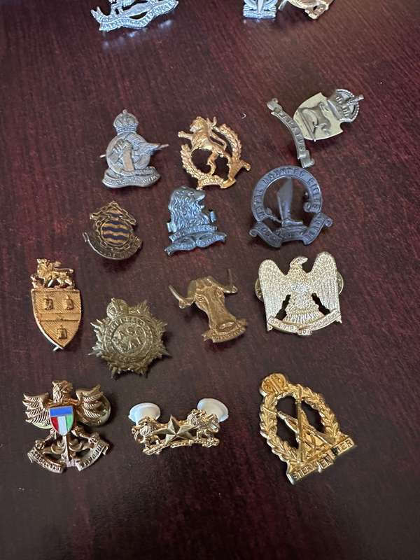 Selection of 13 brass collar badges. Sold together. One lug missing