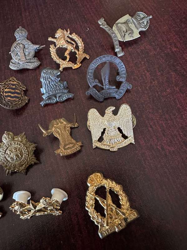 Selection of 13 brass collar badges. Sold together. One lug missing