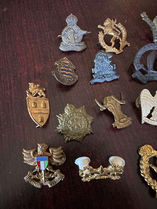 Selection of 13 brass collar badges. Sold together. One lug missing