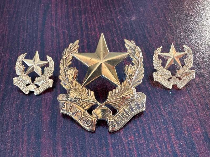 Regiment Botha cap and collars (Brass) worn 1962-1970's. Lugs + pins intact.