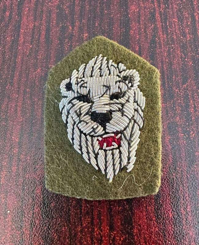 S.W.A.I.T.F. Reaction force senior officers beret badge. Non staff qualified, measures 49 x 33mm.