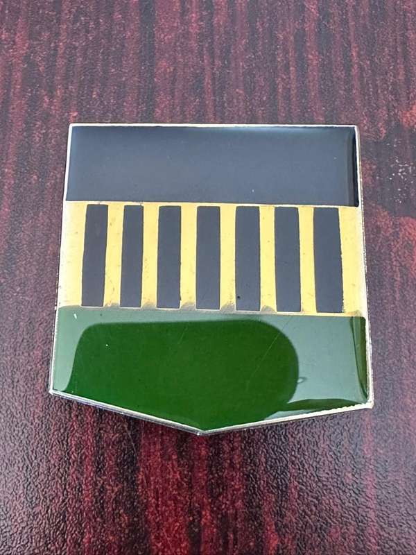 SWA 101 battalion, full size flash. 3 Pins
