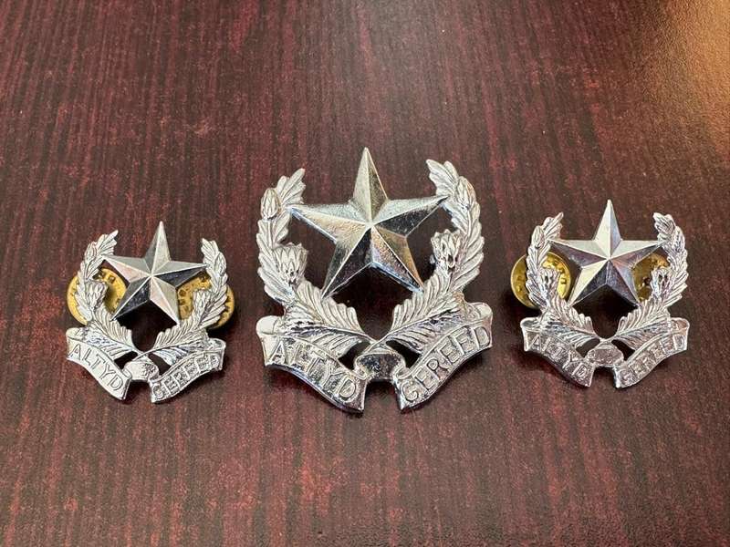 Regiment Botha chrome cap and collars. Worn from 1976. Lugs + pins intact