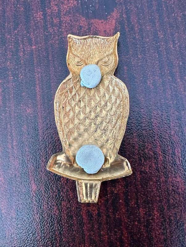 Military intelligence cap badge,gild. Unidentified. No lugs