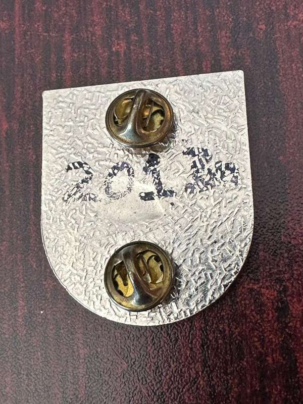 SWA 201 battalion pocket flash and cap badge. 2 Pins.