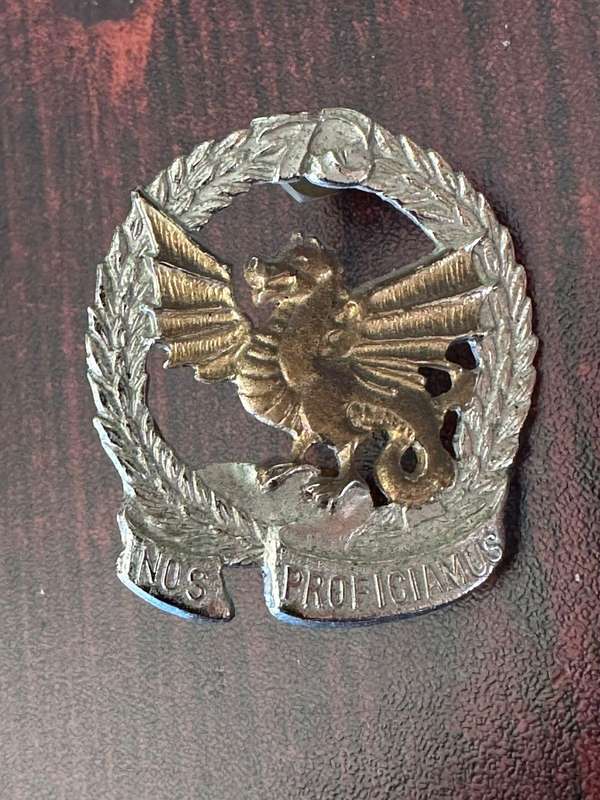 73 Motorised brigade HQ Bi-metal cap badge. Approved in 1986. 2x Screw lugs