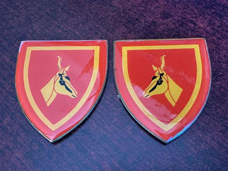 SA army HQ, flash pair. Old. 1st issue. No pins. Silicone can be removed.