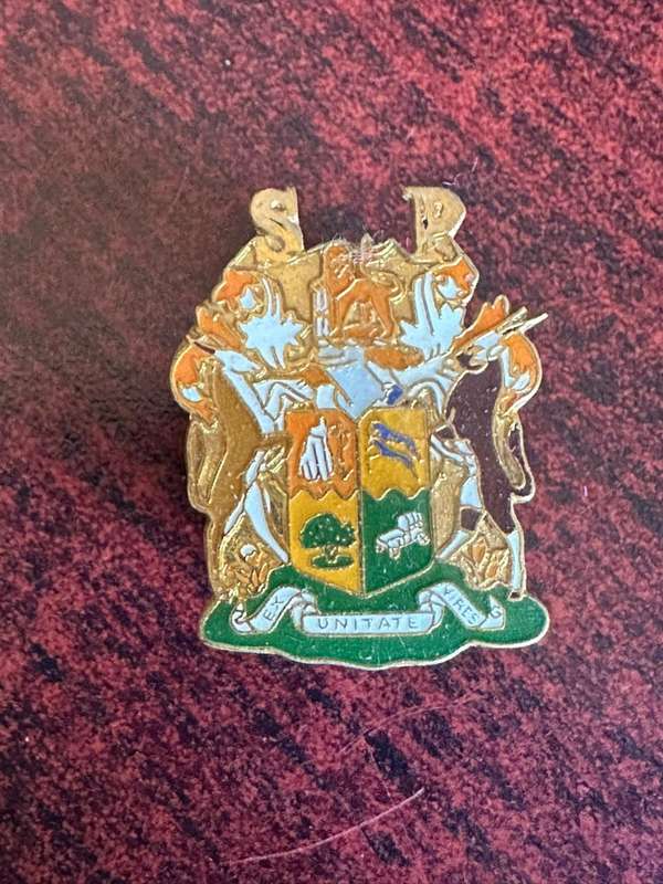 State Presidents guard beret badge (smaller). 2 Pins. Introduced 1987