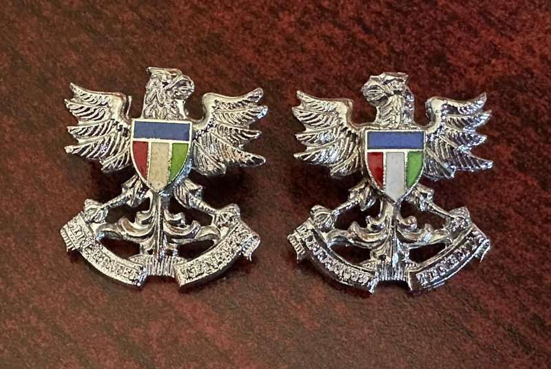 Regiment Northern Natal collar badge pair.Worn post 1970's. Pins intact