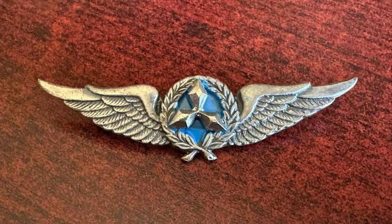 S.W.A.T.F. Air force pilot, oxidised silver breast badge. Approved in 1988. 2 Pins.