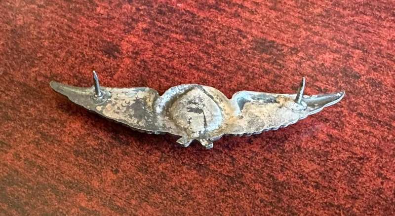 S.W.A.T.F. Air force pilot, oxidised silver breast badge. Approved in 1988. 2 Pins.