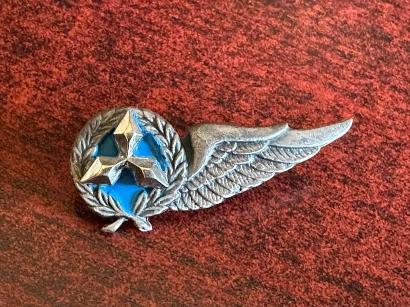S.W.A.T.F. Air force crew, oxidised silver breast badge. Approved in 1988. 2 Pins