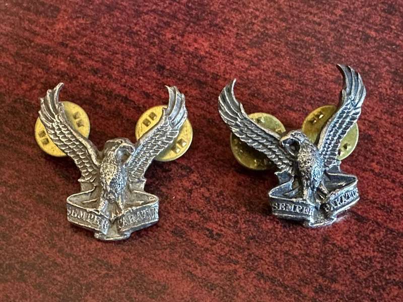 SWA air force, oxidised silver collar badge pair. Pins intact.