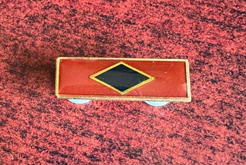 SWA engineers corps beret bar. 2 Pins