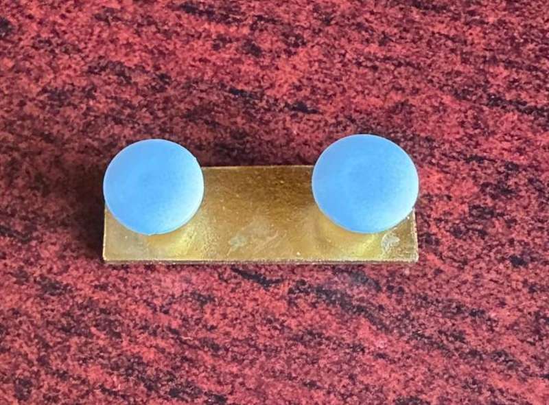 SWA engineers corps beret bar. 2 Pins