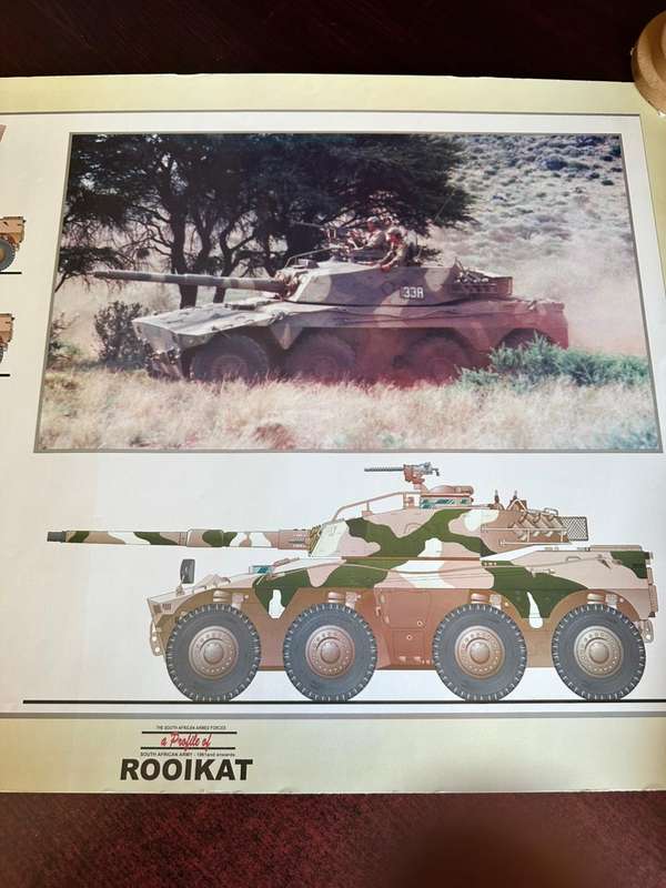 A profile of the Rooikat, gloss poster, measures 60x 42 cm