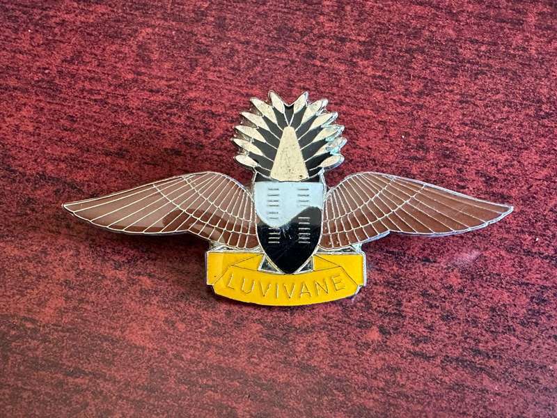 Swaziland,senior,advanced parachute wing,Africa. Brown wings with silver centre crown. 2 Pins.