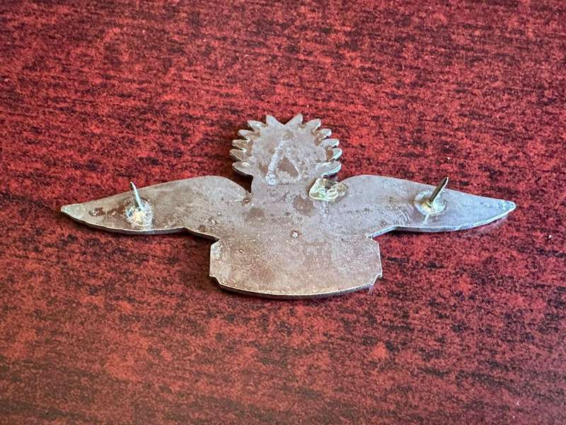 Swaziland,senior,advanced parachute wing,Africa. Brown wings with silver centre crown. 2 Pins.