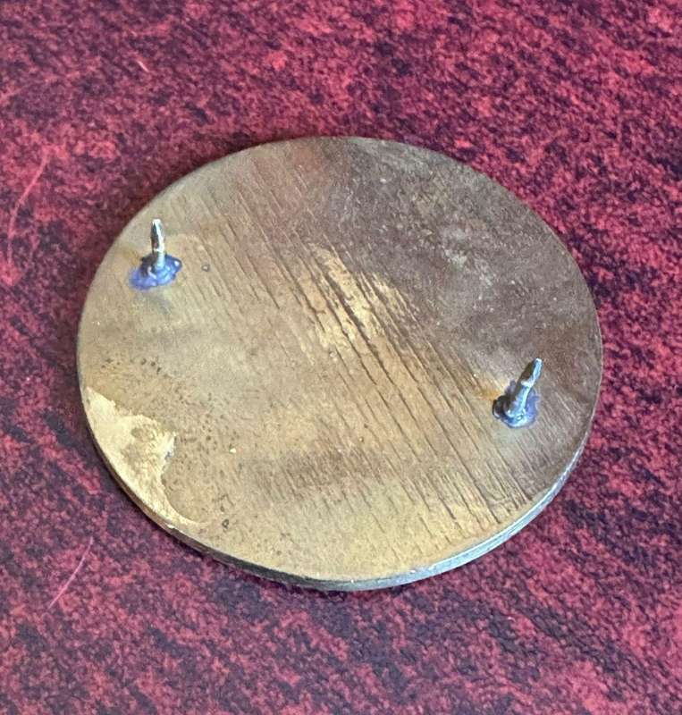 31 Battalion beret badge. Approved in 1980. Also worn while the unit was SWA 201 battalion. 2 Pins.