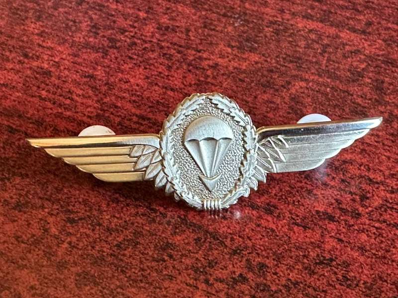 German Federal Rep. para wing class 2. 1966-1983. 2 Pins.