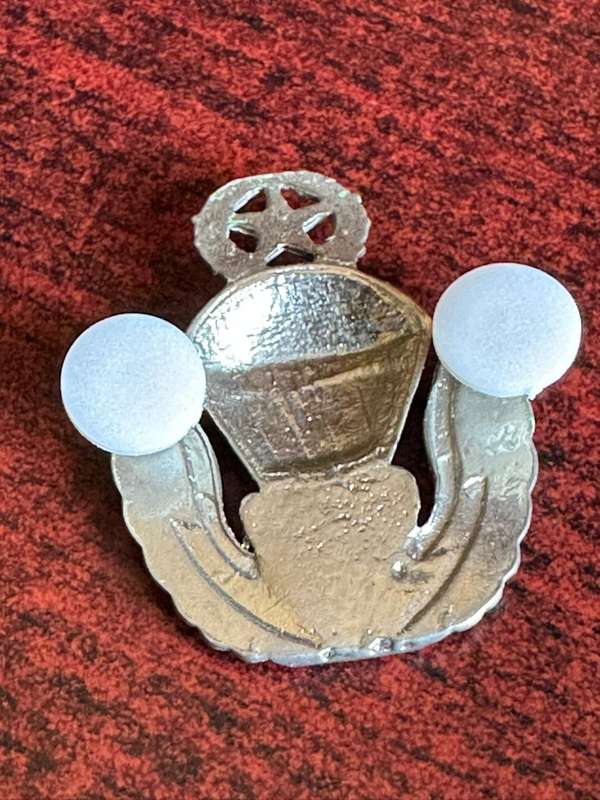 1970's-80's. 82nd Airborne division freefall para wings. 2 Pins