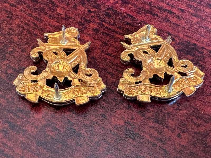 Natal carbineers bi-metal collar badge pair. Worn post 1964. Pins intact.