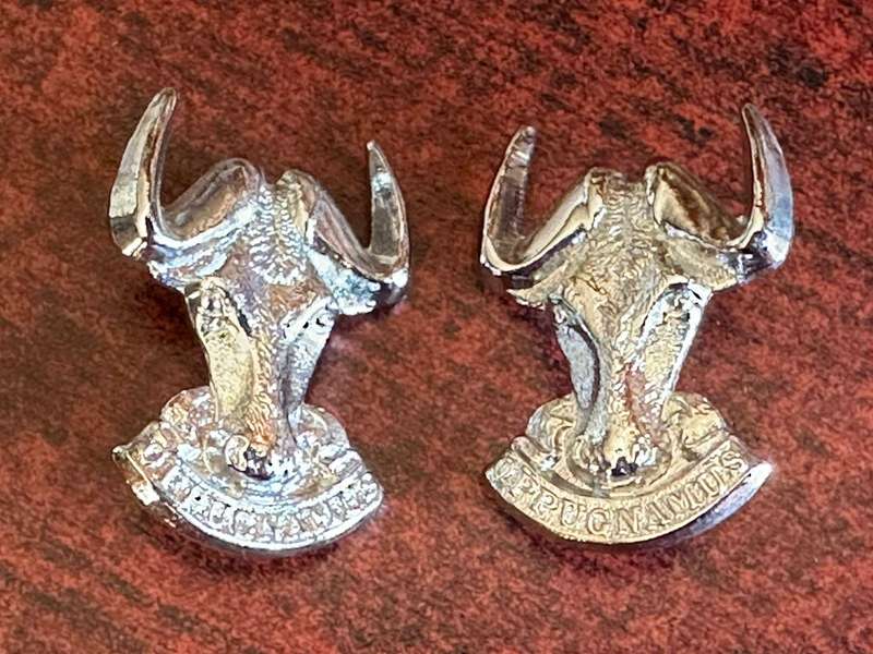 Regiment Port Natal, chrome collar badge pair. Worn post 1971. Pins intact.