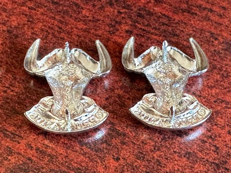 Regiment Port Natal, chrome collar badge pair. Worn post 1971. Pins intact.