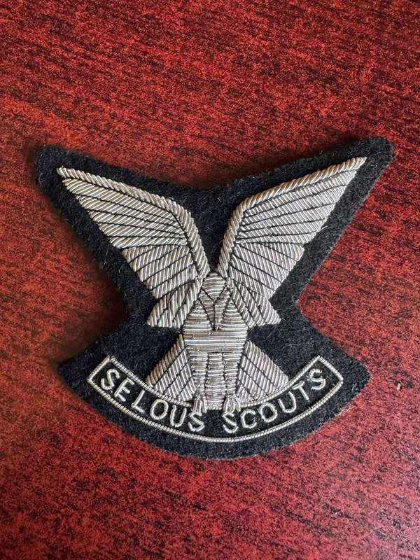 Vintage Rhodesia Selous Scouts blazer badge. Silver wire embroidered. Measures 90 x 70 mm.