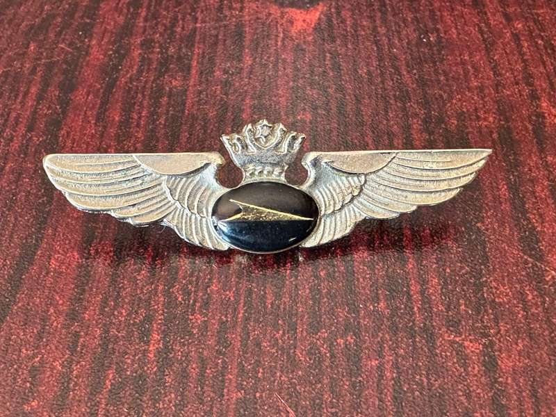 Airlines pilot wing. 2 Pins.