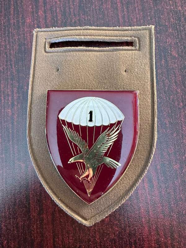 44 Para brigade HQ flash. Pins complete.