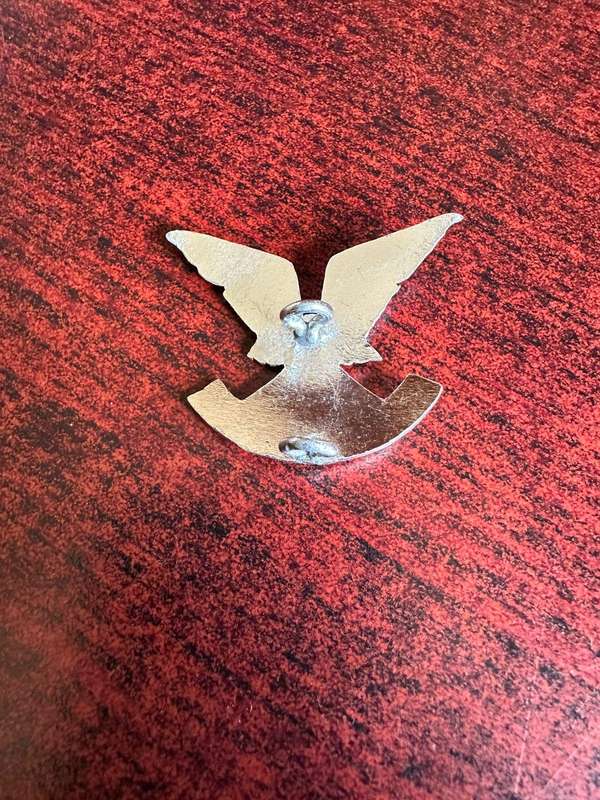 Rhodesian Selous Scouts beret with badge. Guaranteed original. Badge is also original anodised badge