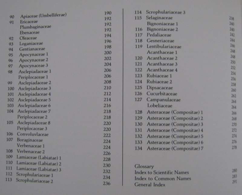 Transvaal Wild Flowers Paintings by: Anita Fabian. Text by Gerrit Germiushuizen